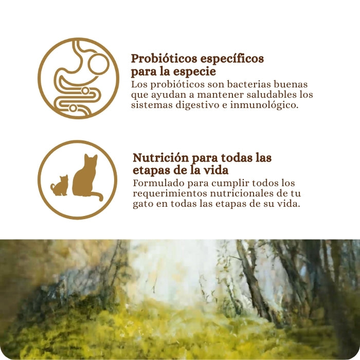 Alimento completo para gatos en todas las etapas de vida Taste of the Wild Prey Turkey Recipe. Receta de Pavo. Con probióticos específicos para la especie. Nutrición para todas las etapas de la vida de tu gato.