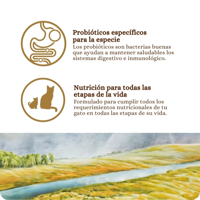 TOW Prey Angus Beef de gato contiene probióticos específicos para la especie es nutrición para todas las etapas de la vida de tu gato.