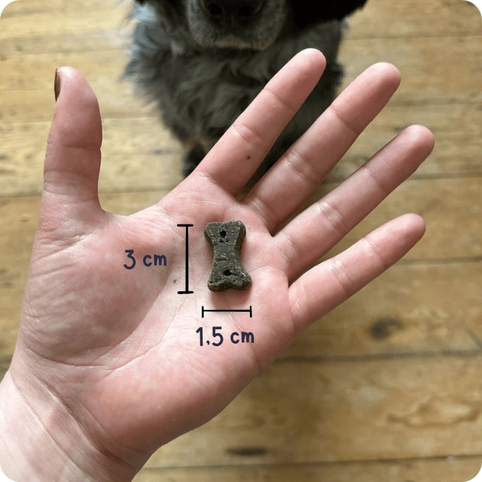 Tamaño galleta natural para perros libre de granos Beco Treats Dog Choc Algarroba