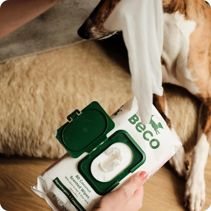 Toallas húmedas Beco para perros