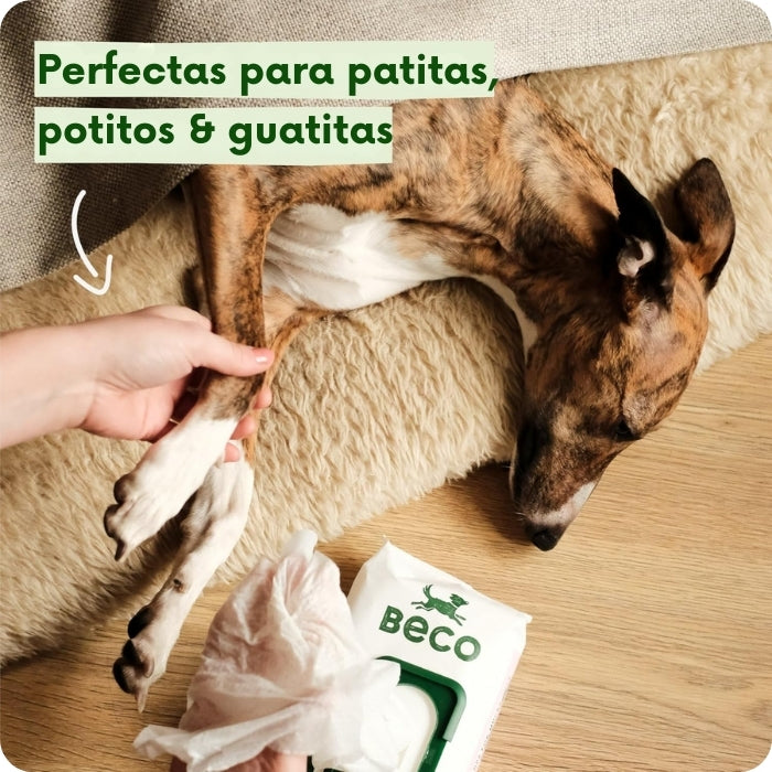 Toallas húmedas Beco: perfectas para patitas, potitos y guatitas
