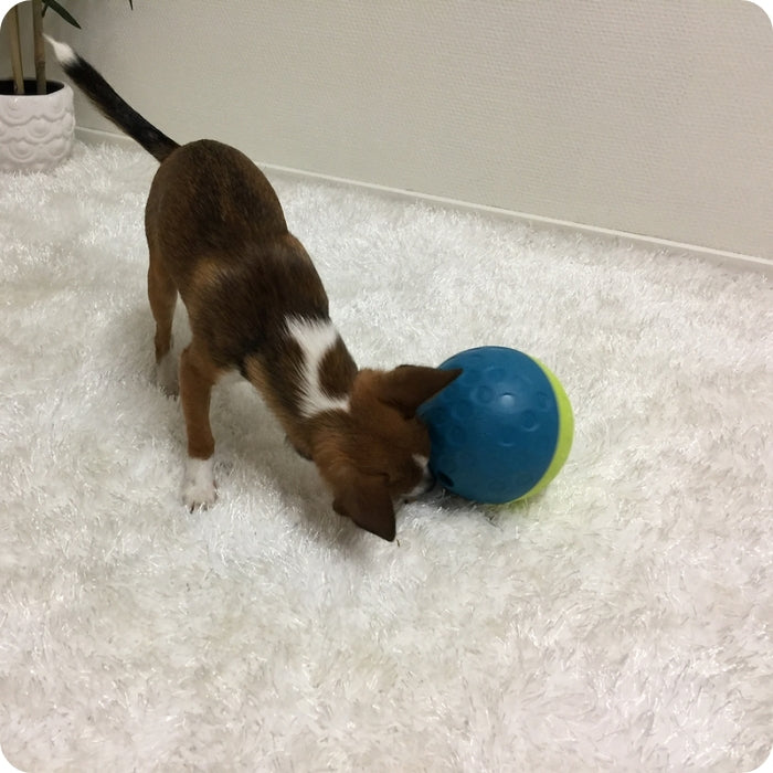 Juguete cognitivo tipo puzzle Treat tumble S Nina Ottosson nivel 1 en uso