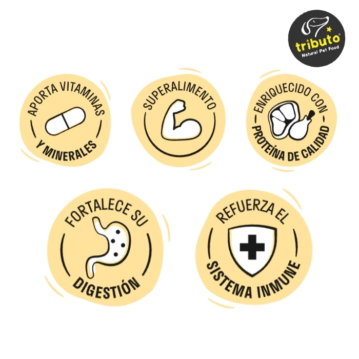 Propiedades suplemento alimenticio para perros y gatos Upetito