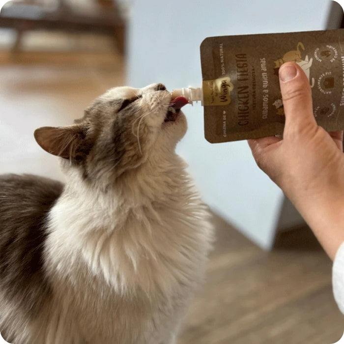 Gatito comiendo snack untable natural Chicken Fiesta Winga