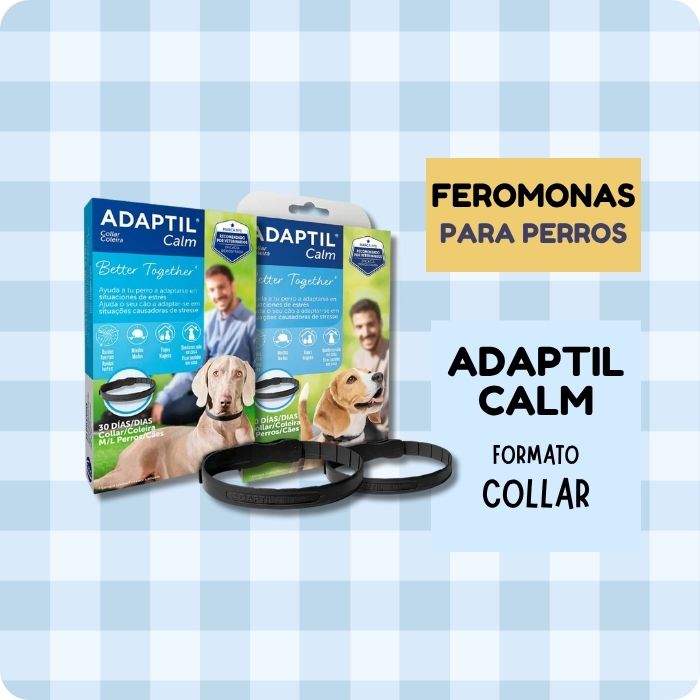 Collar Adaptil Calm con feromonas para perros ansiosos