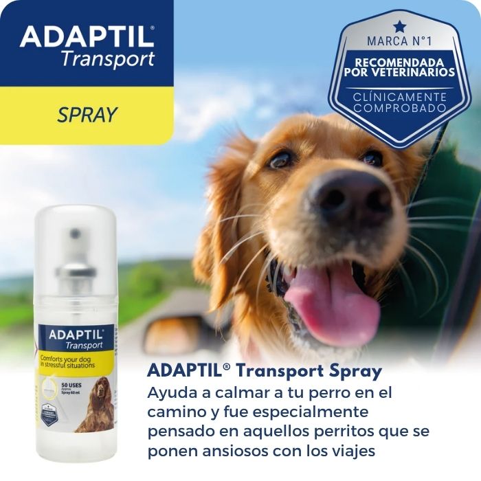 Beneficios del spray Adaptil Transport para reducir estrés en perros