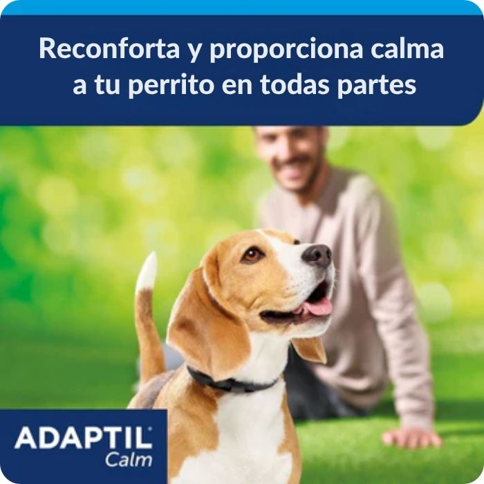 Como funciona Collar Adpatil Calm