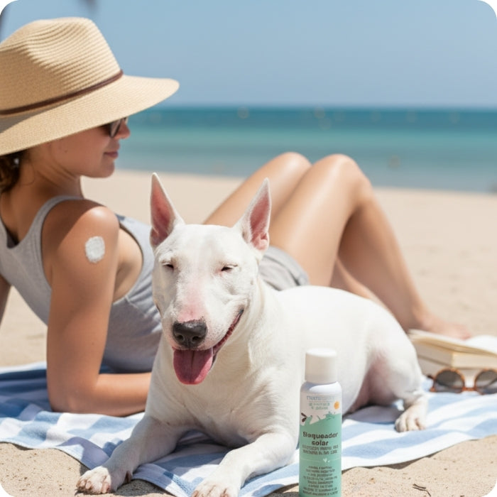 Perro en la playa usando bloqueador solar mamitierra
