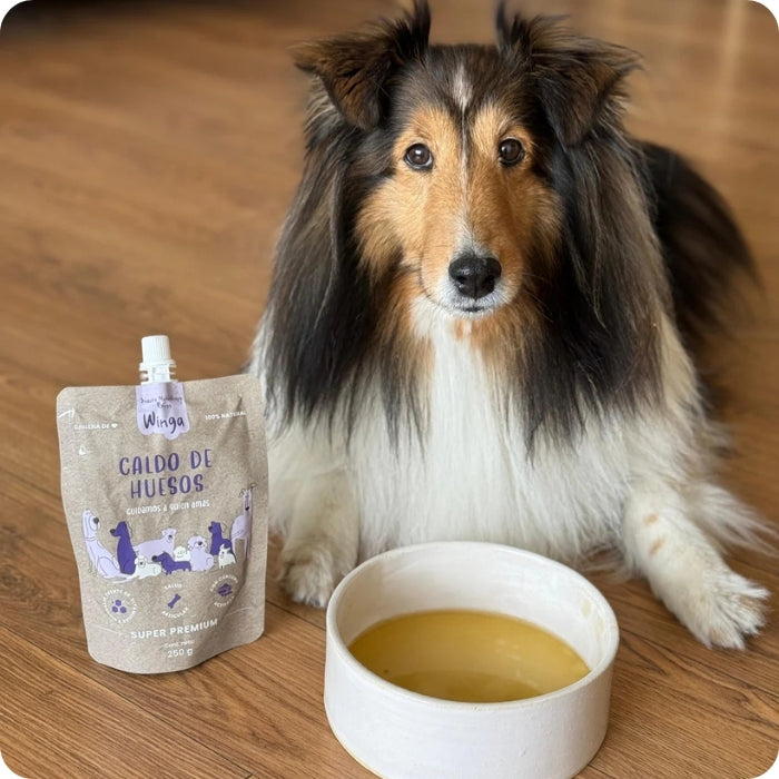 Suplemento alimenticio para perros Caldo de Huesos para beber Winga