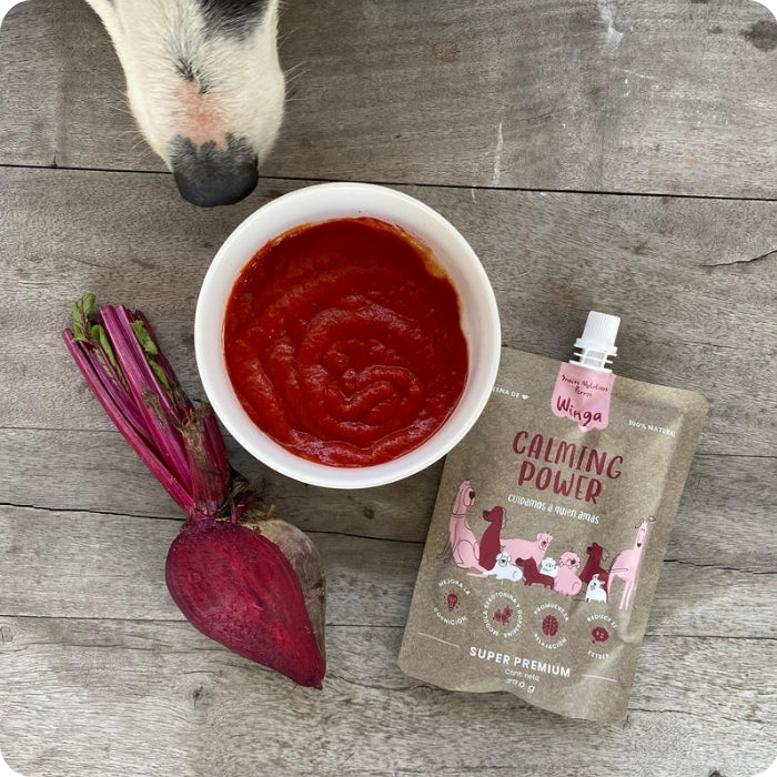 Perrito comiendo suplemento natural para perros Calming Power Winga