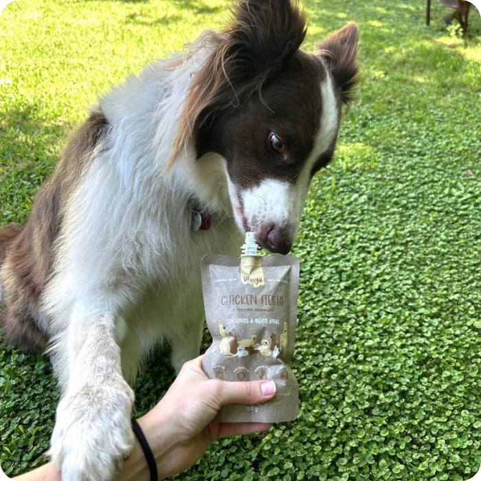 Perro comiendo snack untable natural Chicken Fiesta Winga