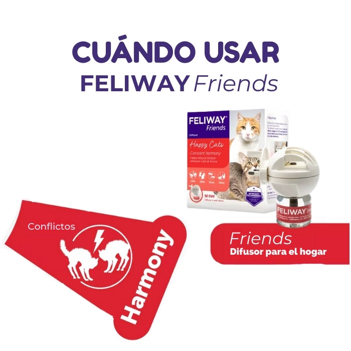 Cuando usar Feliway Friends para evitar conflictos entre gatos