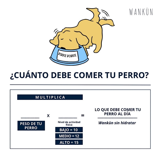 Cuanto Wankun alimento deshidratado para perros debe consumir al día tu perro