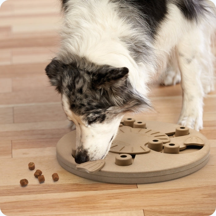 Puzzle nivel 3 Dog Worker en uso perro talla mediana Nina Ottosson. Dificultad avanzada