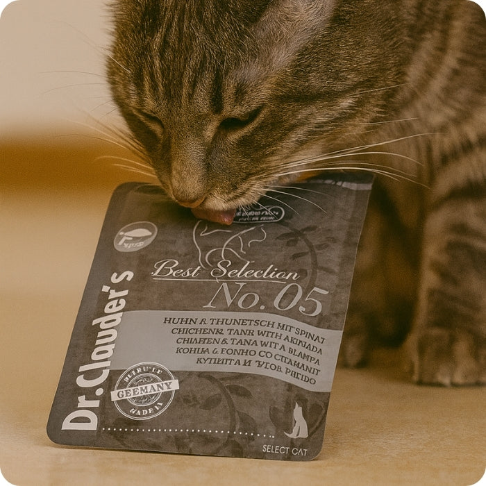 Gato adulto saboreando alimento húmedo para gatos completo Best Selection No. 05 Dr. Clauder's Pollo, atún y espinacas