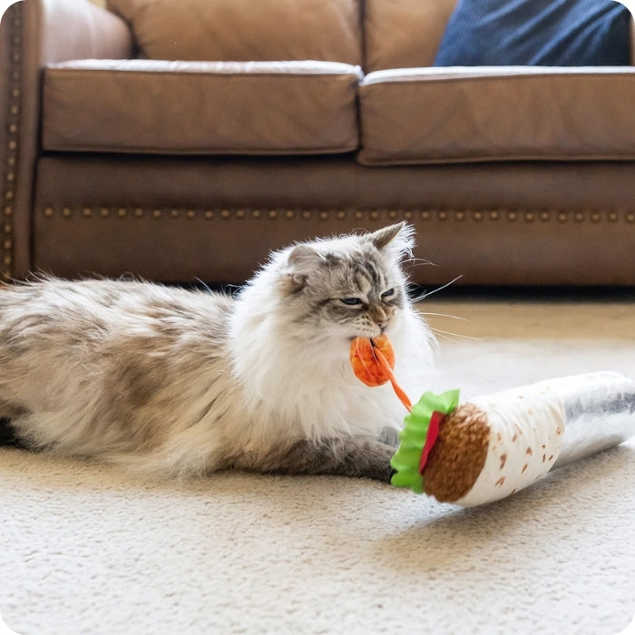 Gato mordiendo peluche sensorial Shrimp Purrito 