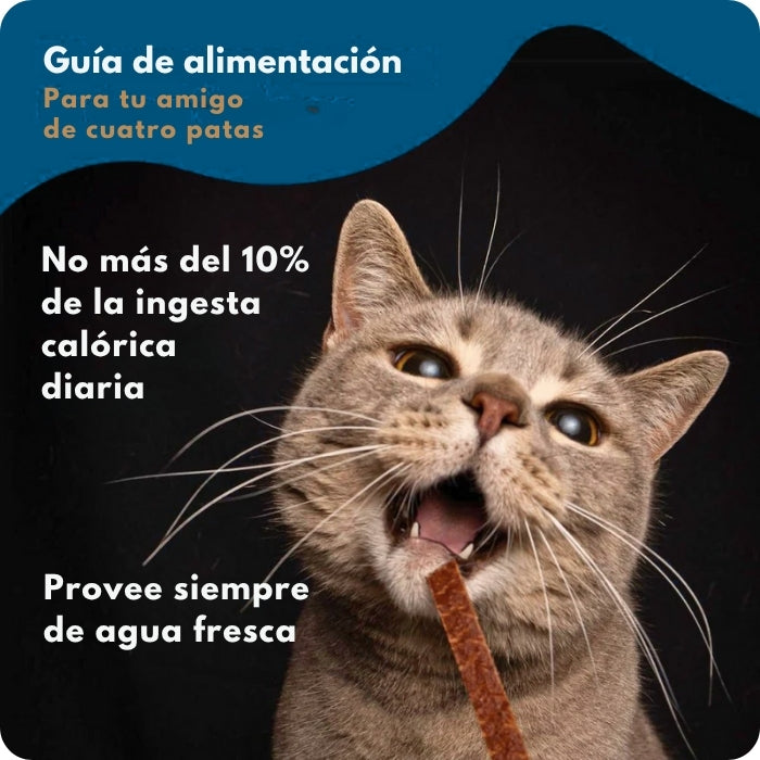 Guia de alimentación snacks Dr. Clauder's