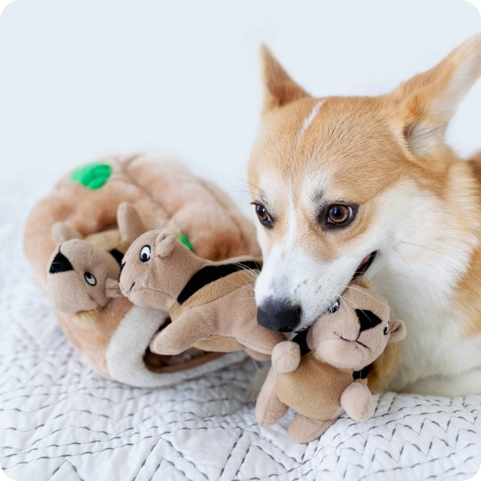 Hide a Squirrel - Peluche cognitivo