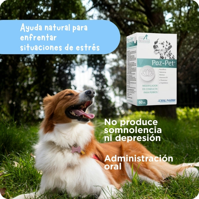 Modificador de la conducta para perro de origen natural, no produce somnolencia ni depresión. Administración Oral