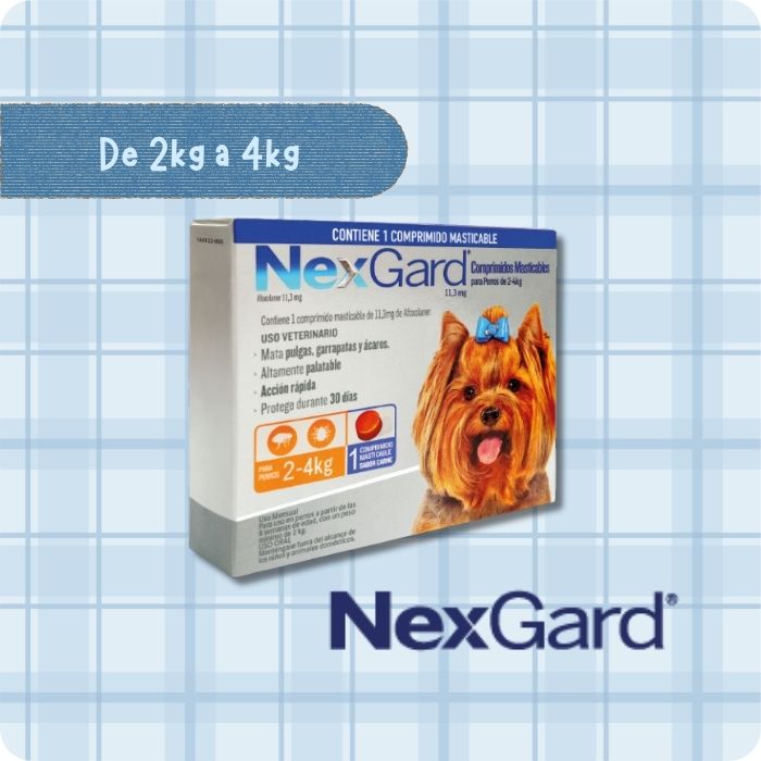Nexgard de 2 a 4kg