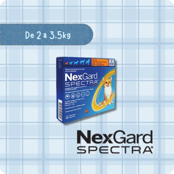 Nexgard Spectra antiparasitario interno y externo para perros de 2 a 3.5 kg