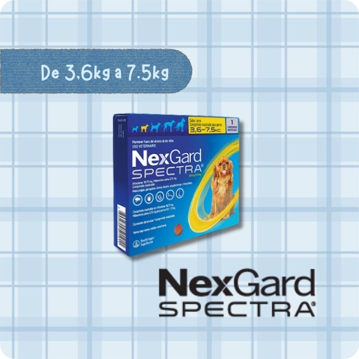 Nexgard Spectra antiparasitario interno y externo para perros de 3.6 a 7.5 kg