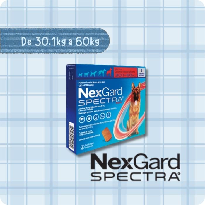 Nexgard Spectra antiparasitario interno y externo para perros de 30.1 a 60 kg