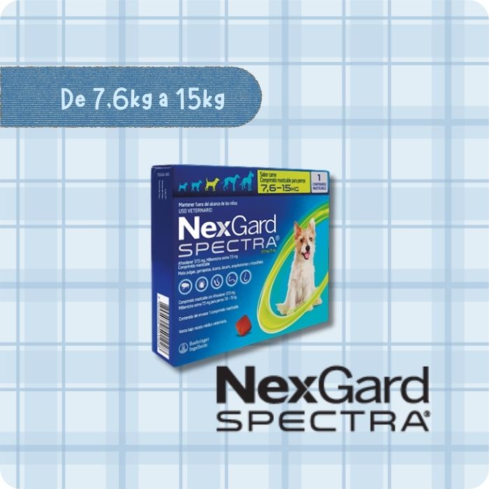 Nexgard Spectra antiparasitario interno y externo para perros de 7.6 a 15 kg