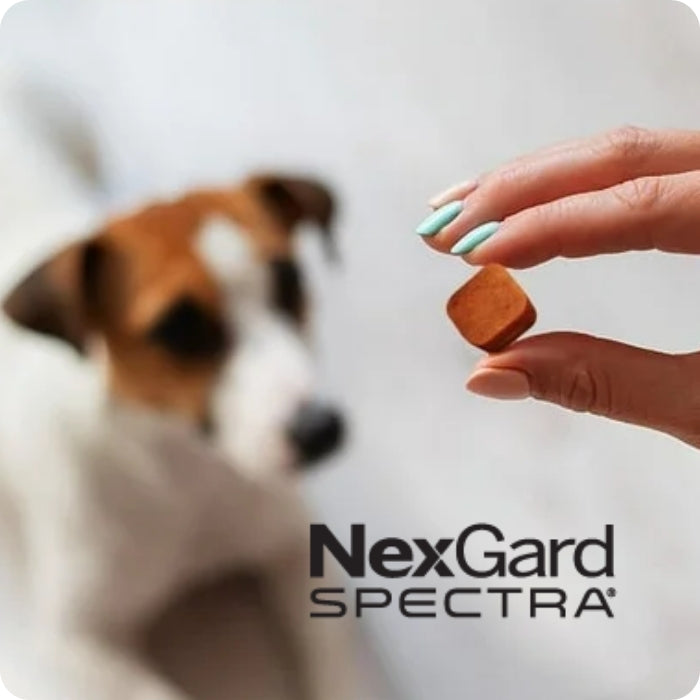 Nexgard sprectra tableta masticable sabor a carne