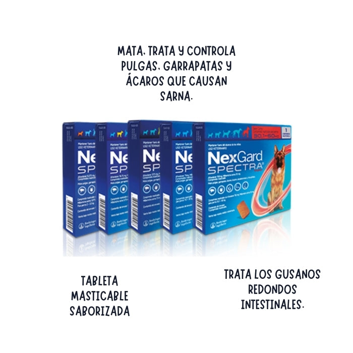 Nexgard Spectra antiparasitario interno y externo para perros propiedades