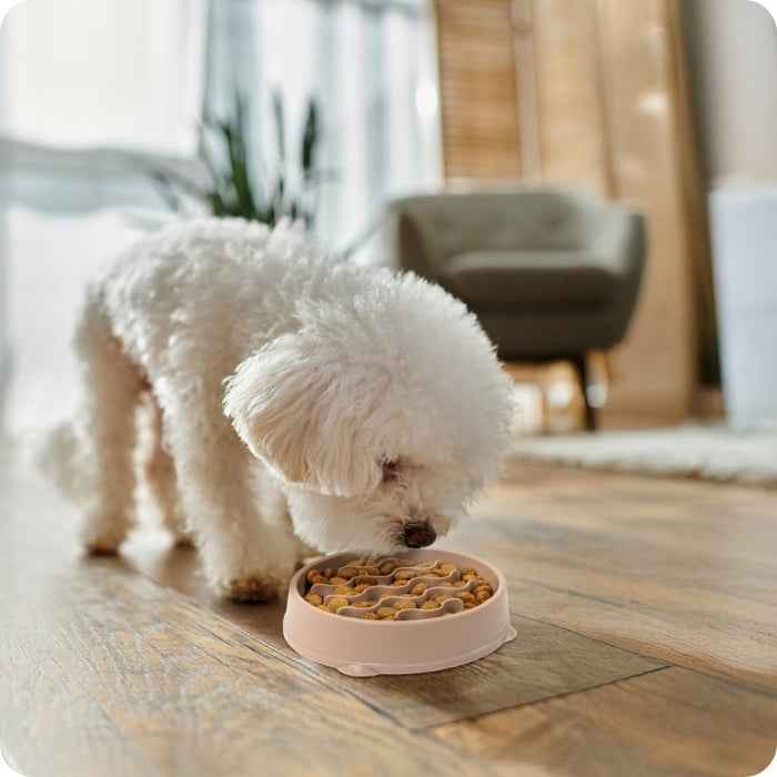 Comedero lento talla S Outward Hound