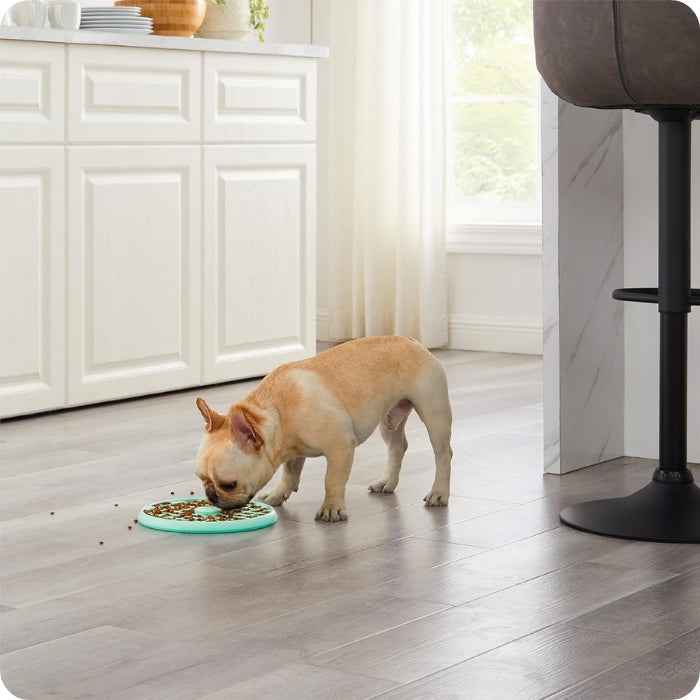 Comedero lento estilo bandeja Outward Hound
