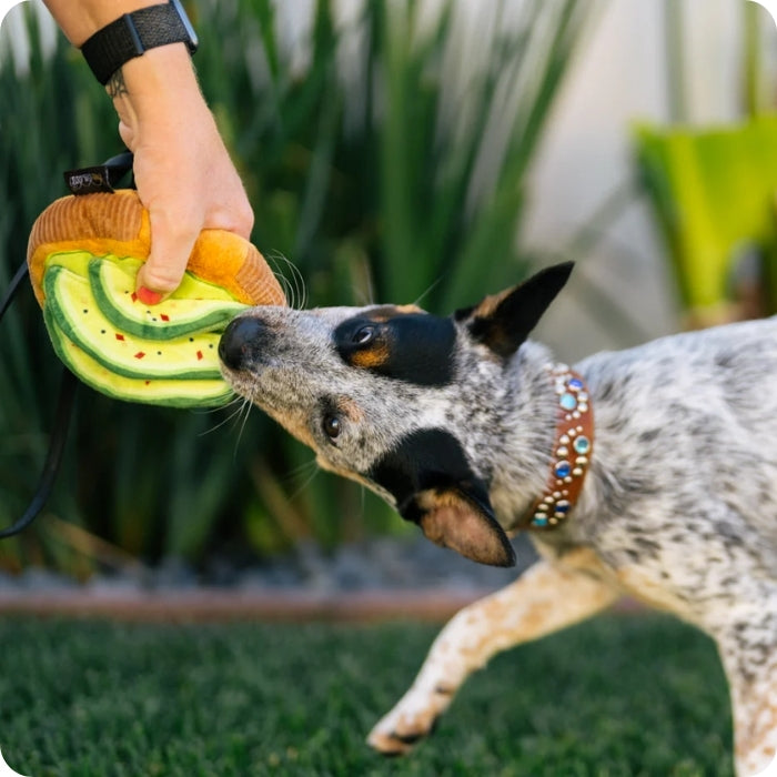 Perro jugando a morder y tironear peluche sensorial para perros Avo Doggo Toast de P.L.A.Y