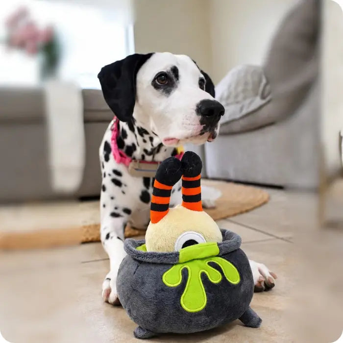 Juguete Interactivo para Perros con Sonido PLAY Howling Haunts Pocion Magica