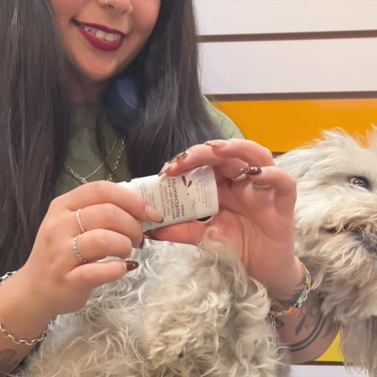 mujer usando humectante mamitierra en las patitas y nariz de su perro