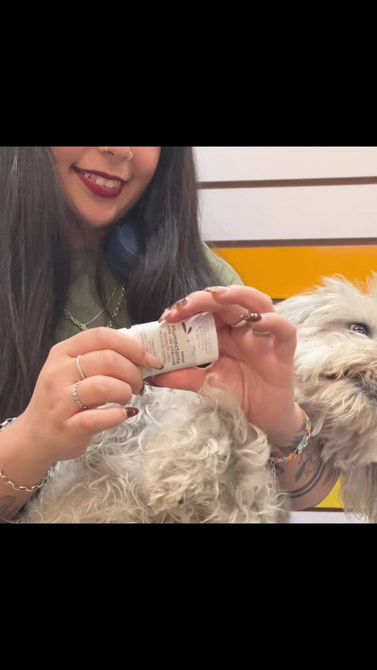 mujer usando humectante mamitierra en las patitas y nariz de su perro