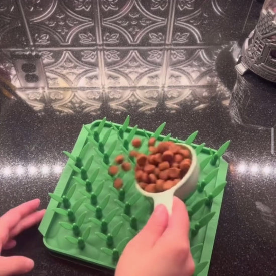 preparacion de comedero lento estilo lickmat para estimular olfato de perro