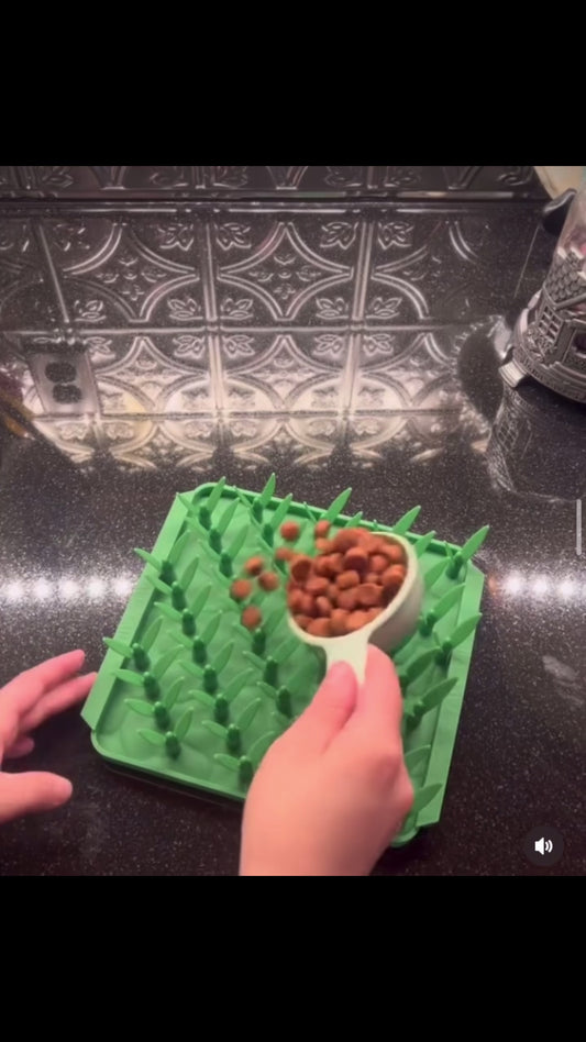 preparacion de comedero lento estilo lickmat para estimular olfato de perro