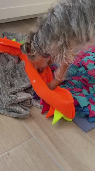 Perrito jugando con Drako de Jao Toys extendido. Buscando premios en los compartimentos ocultos.