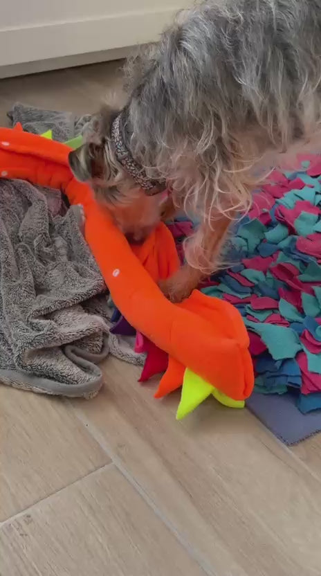 Perrito jugando con Drako de Jao Toys extendido. Buscando premios en los compartimentos ocultos.