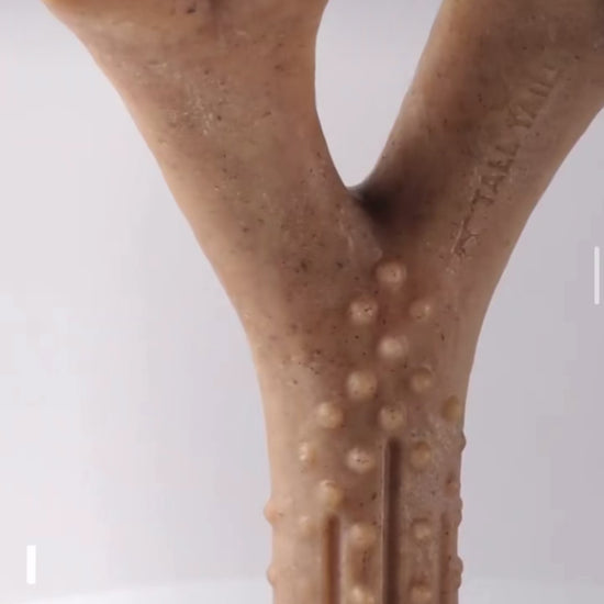 Perro usando el mordedor cuerno, con relleno Tall Tails de Karu Auka