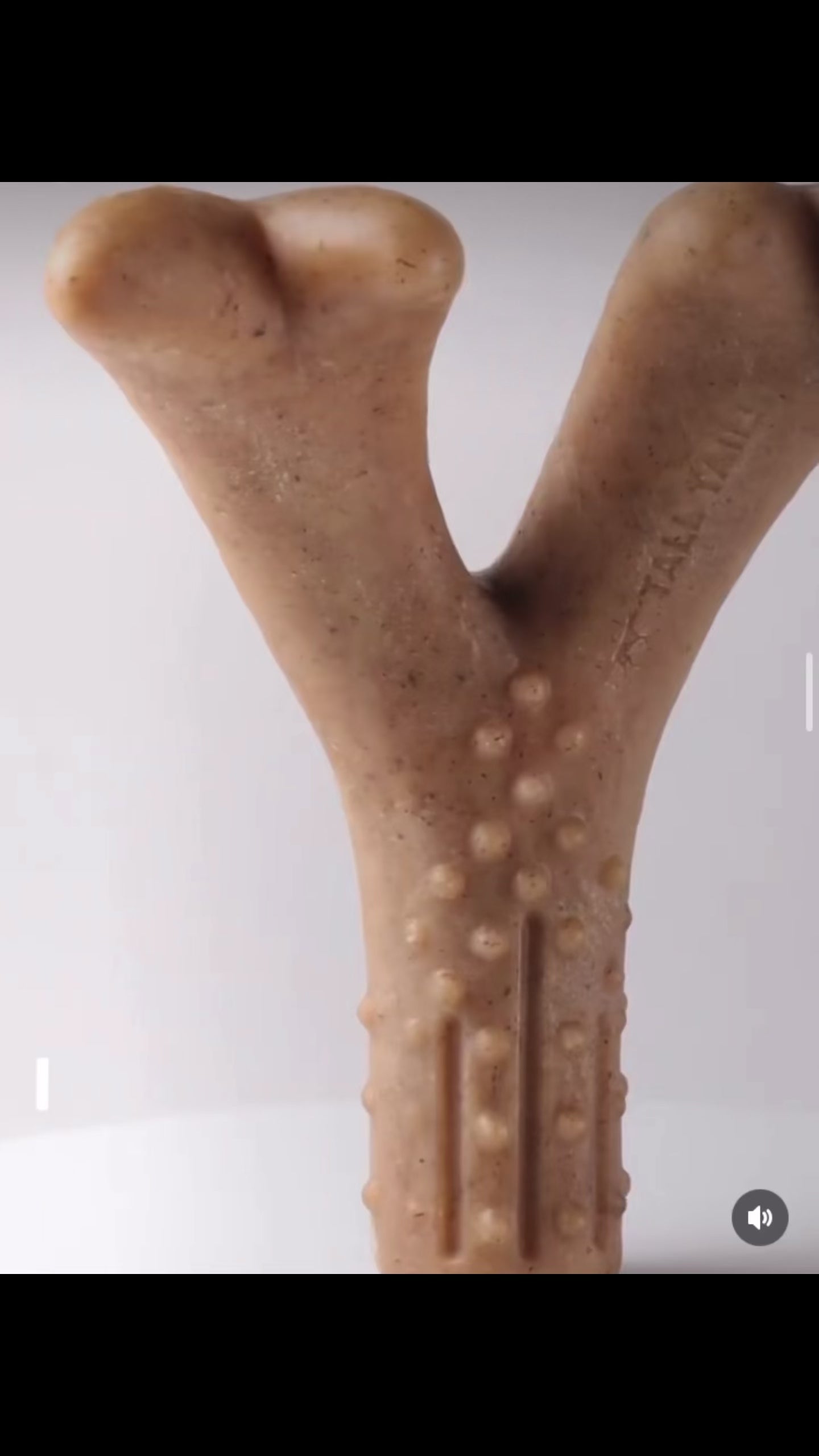 Perro usando el mordedor cuerno, con relleno Tall Tails de Karu Auka