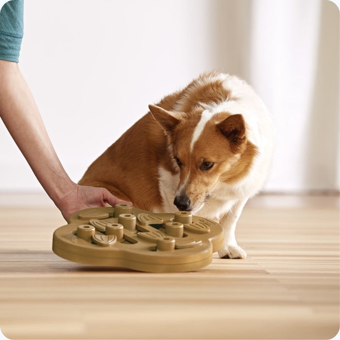 Jueguete cognitivo apropiado para perros ciegos o con movilidad reducida de Nina Ottosson nivel 2 Dog Hide N' Slide