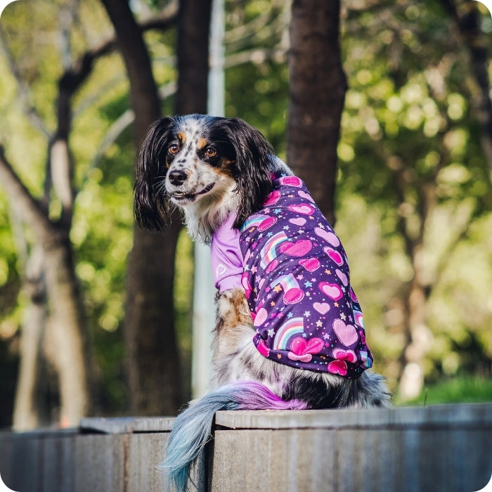 Perrita modelando polera con filtro solar FPS 50 Rainbow Love de ZullyPet
