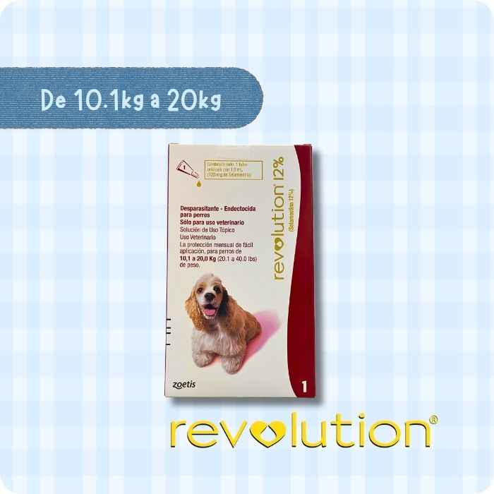 Pipeta Revolution 12% Perro