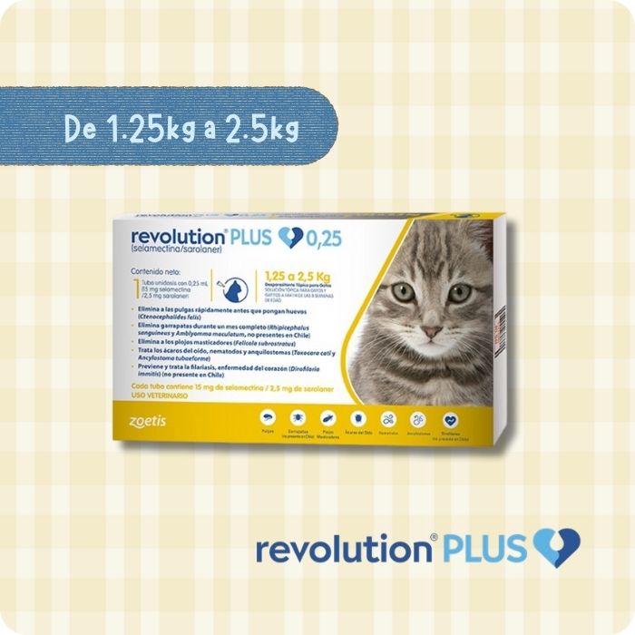 Revolution Plus Gato de 1.25 a 2.5 kg