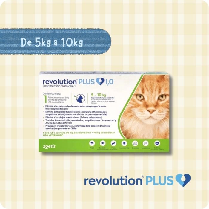 Revolution Plus Gato de 5 a 10kg