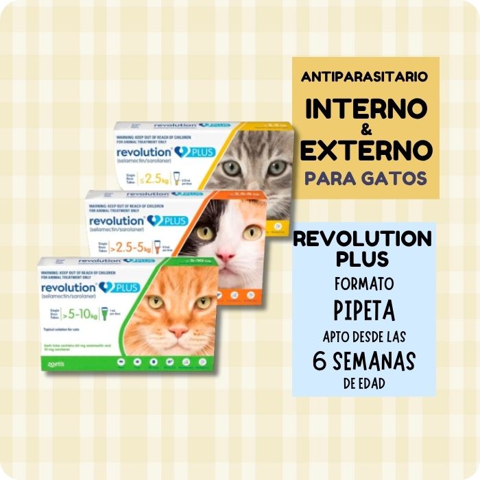 Revolution Plus Gato variedades