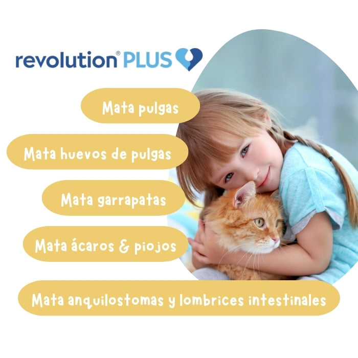 Revolution Plus Gato Propiedades