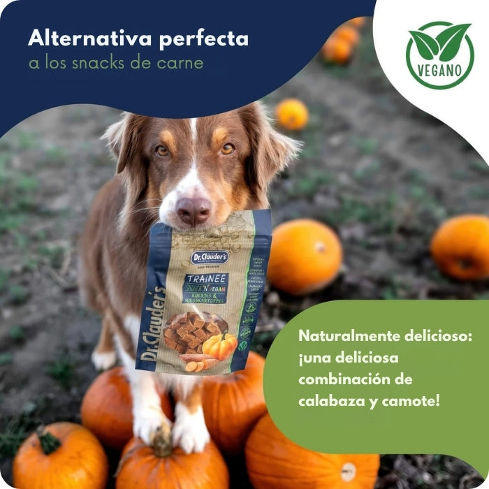 Snack natural vegano alternativa a snack de carne para perros y gatos variedad de Calabaza y camote Dr. Clauder's
